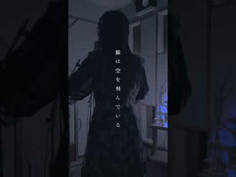 珀 - 104Hz (cover)