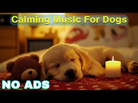 12 Hours of Dog Calming Music For Dogs 💖 Dog Separation Anxiety Music 🐶 Pet claming music🎵No Ads