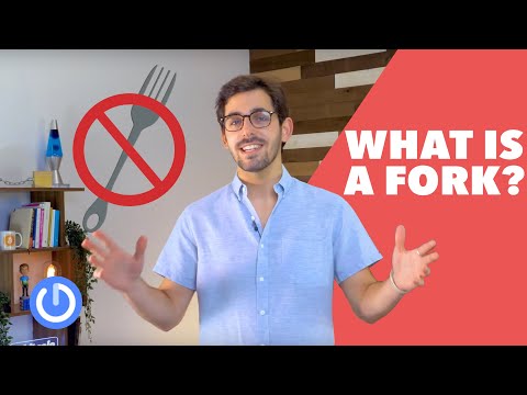 What is a Cryptocurrency Fork? | Cryptocurrency Basics