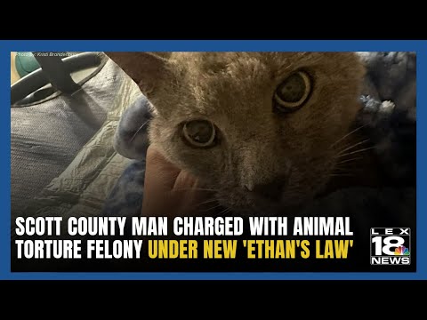 KY Man Charged With Animal Torture Felony Under 'Ethan's Law'