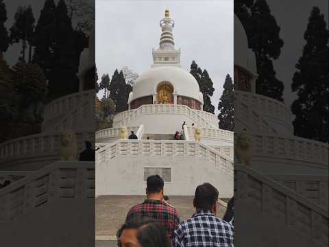 Peace Pagoda , Darjeeling | Darjeeling Sightseen | দার্জিলিং এ ঘোরাফেরা #darjeeling #tourism #travel