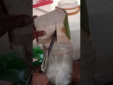 freshly cut coconut water #satisfying #coconutwater #streetfood #youtubeshorts @GatchieJr33