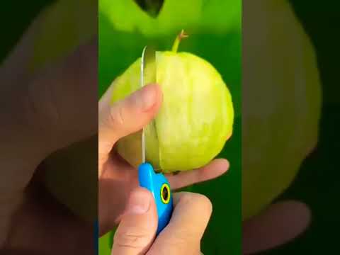 #growguavatree #youtubeshorts #fruit #shortvideo #fruitcutting #guavatree #tropicalfruit #share