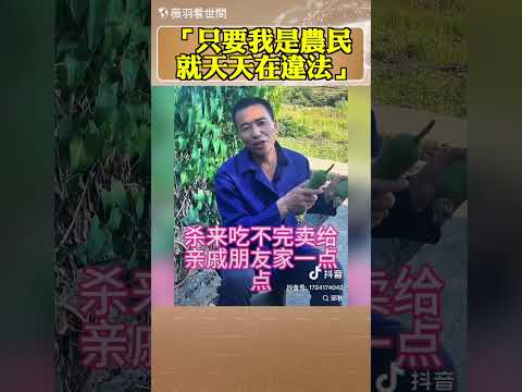 中國農民稱「只要我是農民，就天天在違法」