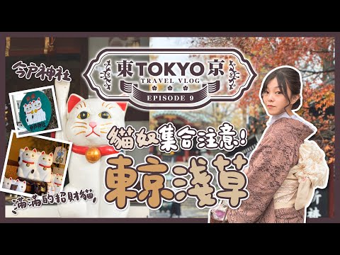 Tokyo Travel Vlog🇯🇵 Attention Cat Lovers! Must-Visit Maneki-neko at Imado Shrine | Asakusa