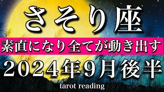 さそり座♏︎2024年9月後半 素直になり全てが動き出す！　Scorpio tarot reading