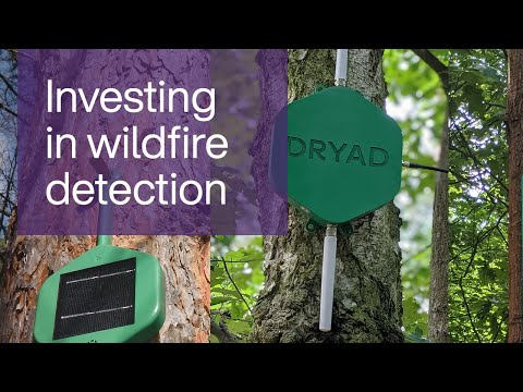 TELUS l Investing in wildfire detection