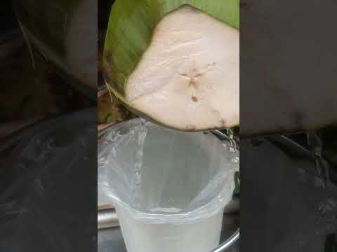 sariwang sabaw ng BUKO pH street food #satisfying #bukojuice #streetfood #youtubeshorts #Gatchie Jr