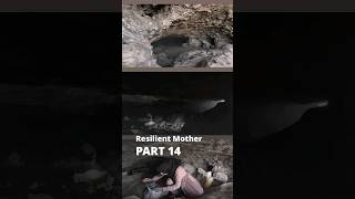 Resilient Mother in the mountain | Part 14