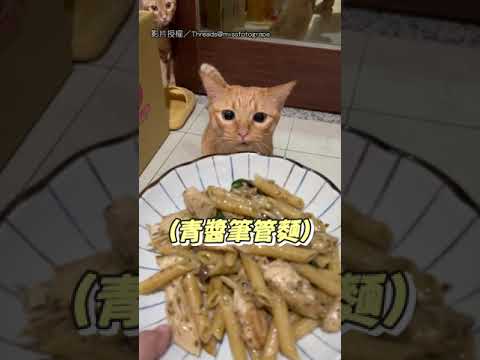 【不要主人了】貓貓聞完人類食物 超失禮轉頭就跑XD｜貓｜義大利麵｜逃跑