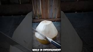 American Street Food - young coconut cutting skills 27 #streetfood #coconut #cuttingskills