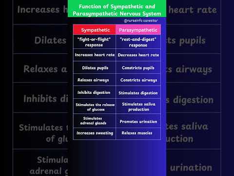 Functions of Sympathetic and Parasympathetic Nervous System #nervoussystem