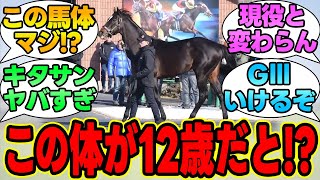 『キタサンブラック12歳、仕上がりが半端ないｗｗｗ』に対する競馬民の反応集