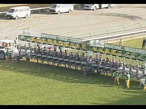 シーザリオ 2005年 第19回時事通信杯フラワーカップ(GIII) (優勝馬：シーザリオ) (実況：ラジオNIKKEI)