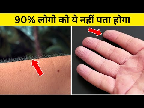 शरीर से जुड़े ये फैक्ट आपके होश उड़ा देंगे | Amazing Facts About the Human Body