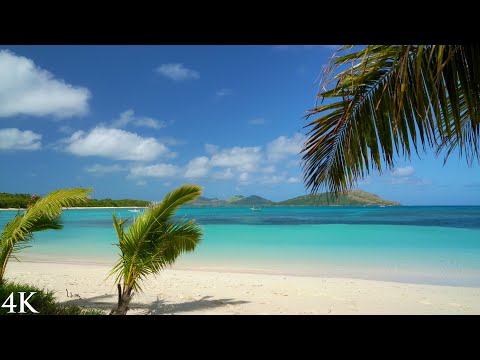 Paradise Beach 🏝️ 8HR Nature Relaxation™ Scene + Wave Sounds in 4K