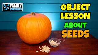 Object Lesson using Pumpkin Seeds