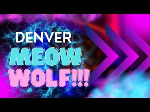 MEOW WOLF DENVER !!!