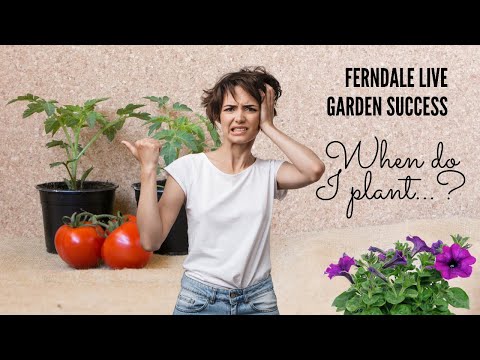 Garden Success -When Do I Plant...?