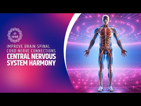 Central Nervous System Harmony: Improve Brain-Spinal Cord-Nerve Connections | Binaural Beats