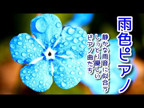 《雨色ピアノ》【癒しの音楽】 静かな雨音に合うしっとり優しいピアノ曲たち～心が落ち着く、疲労回復、α波、1/f ゆらぎ、睡眠