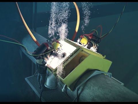 DCN Micro Habitat Animation