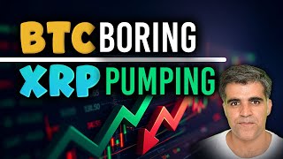 Crypto Market Latest News Updates Why BTC boring XRP pumping