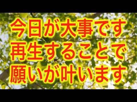 「今日が大事です。見たその日の24時までに必ず再生してください。遂に願いが叶います」というありがたい啓示のもと降ろされたヒーリング周波数です(a0238)