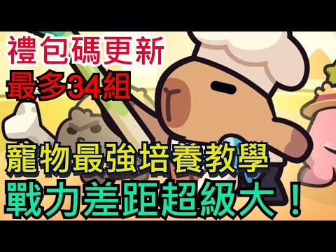 【卡皮巴拉GO】34組禮包碼分享、全部都能用！寵物千萬別亂養、戰力差距超級大！#卡皮巴拉 #水豚君#CapybaraGo!