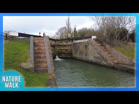 Soothing walk down a picturesque canal with locks (Nature Visualizer)