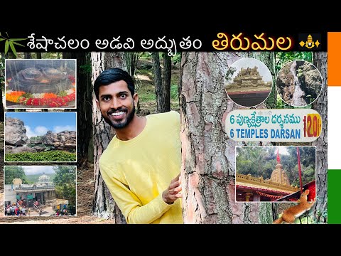 DAY 11 must visit places in Tirumala explored sheshachalam forest 💚| ALL INDIA TRAVELLING 🇮🇳