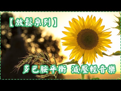 【放鬆系列】多巴胺平衡 減壓輕音樂 鋼琴輕音樂【1小時】Sleeping Music, Relaxing Music, Insomnia