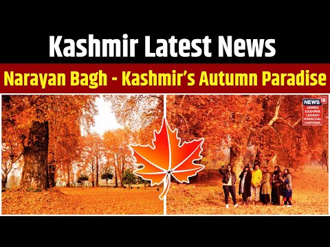 Jammu Kashmir News | Narayan Bagh - Kashmir’s Autumn Paradise | Latest News Updates | News18 JKLHH