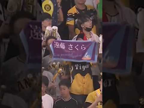 阪神タイガース 遠藤さくら選手 #乃木坂46