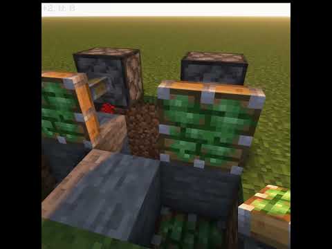 Double Block Swapper in Minecraft! #shorts