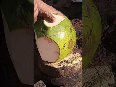 Cutting a green coconut is very satisfying #bukojuice #streetfood #youtubeshorts @GatchieJr33