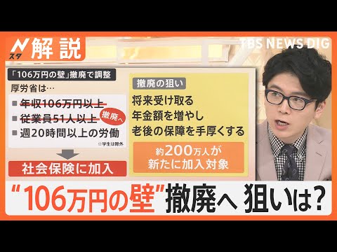 “106万円の壁”撤廃へ…手取り減る人も、週20時間労働で厚生年金 メリットは？【Nスタ解説】｜TBS NEWS DIG