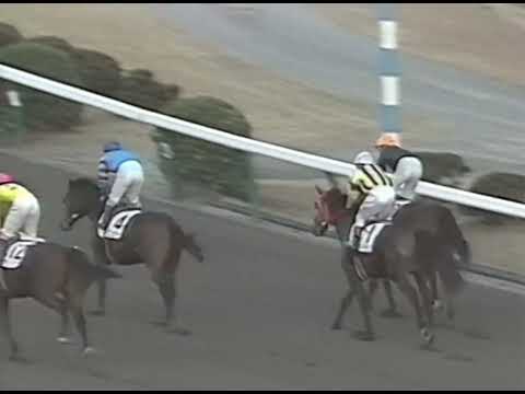 ヤマニンゼファー 1991年 4歳以上900万下 (優勝馬：ヤマニンゼファー)(実況：ラジオたんぱ)