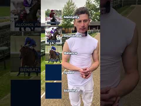 Build the perfect racehorse with Oisin Murphy #horseracing  #horse