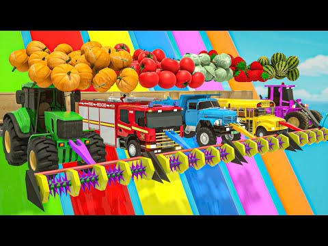 Bingo Song + Old MacDonald, Baby cars fruit and soccer balls - Baby Nursery Rhymes & Kids Songs