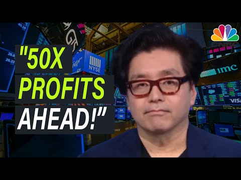 Tom Lee: Nvidia Could Make You Billions, Buy Before February 2025!