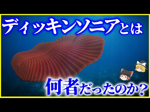 【ゆっくり解説】進化系統樹に当てはまらない謎生物…⁉️「ディッキンソニア」とは何者だったのか⁉️を解説/初期多細胞生物の進化の重要な手がかり