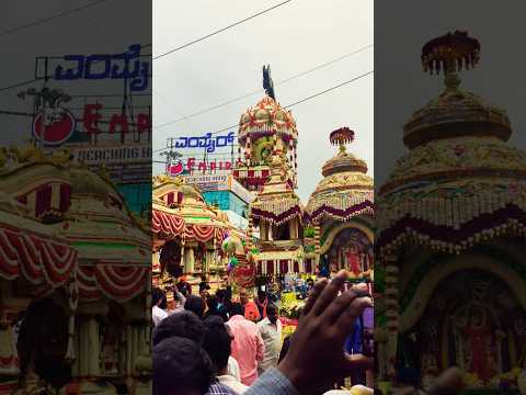 Biggest flower 🌼 Pallaki festival #kammanahalli #rspalaya #hindufestival #pallakiprocession #vibes