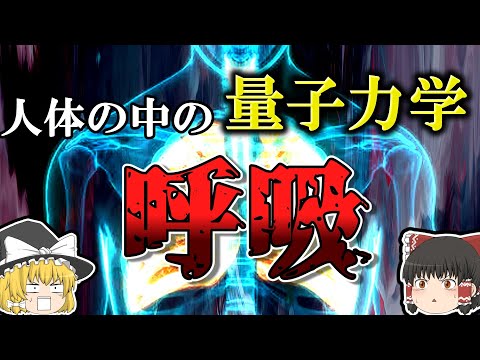 【学校で習わない理科】実は呼吸は量子力学【ゆっくり解説】【雑学】