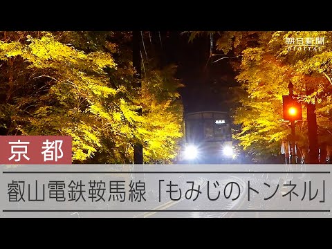 叡山電鉄 「もみじのトンネル」ライトアップ