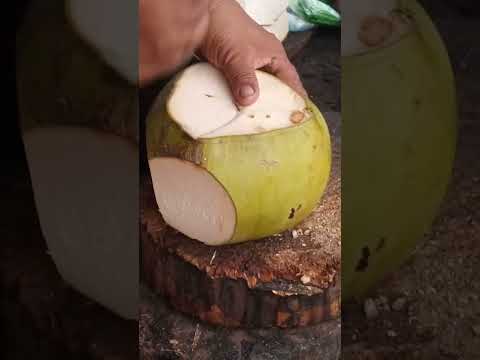 AMAZING COCONUT PEELING Asmr pH street food #satisfying #streetfood #youtubeshorts @GatchieJr33