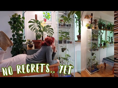 GLASSHOUSE CABINET FOR HOUSE-PLANTS //IKEA DUPE?