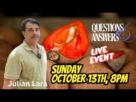 Live Q&A with Julian of Lara Farms in Miami Part 5