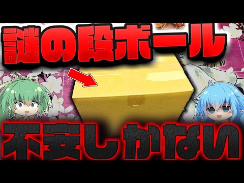 【遊戯王】遊楽舎さんに売ってた見るからに超怪しい在庫処分袋が気になり過ぎて、つい購入して中身を確かめてみたゆっくり実況者の末路...【 オリパ 開封 闇 】