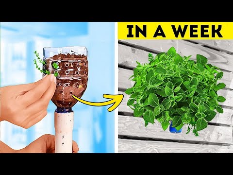 Gardening Hacks & Planting Techniques You NEED To Know